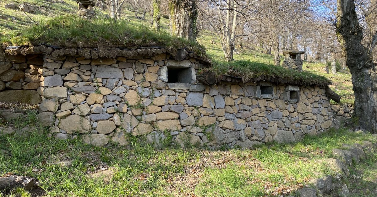 Roccamonfina-Castagneti-1