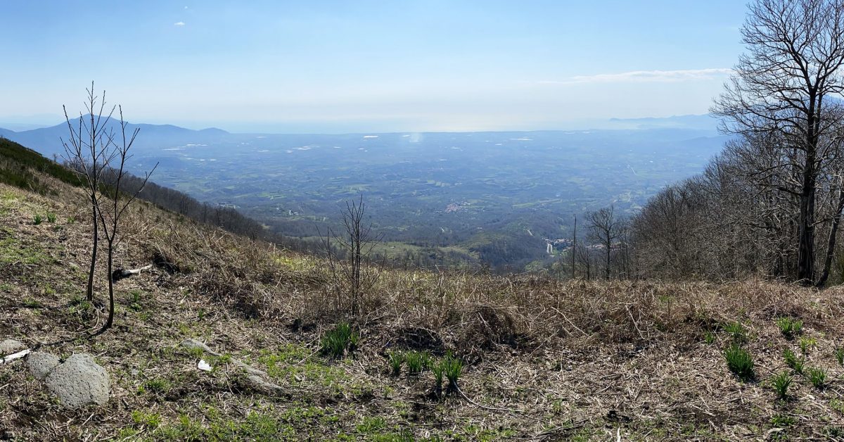 Roccamonfina-Monte-Frascara