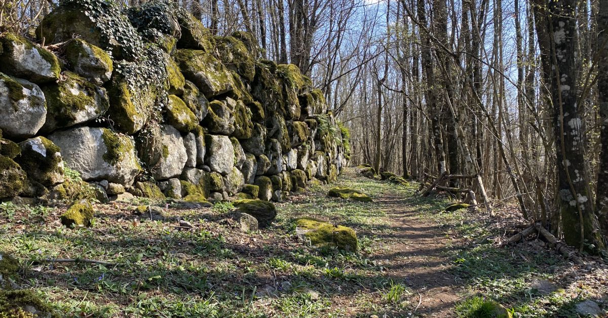 Roccamonfina-Mura-Megalitiche-2