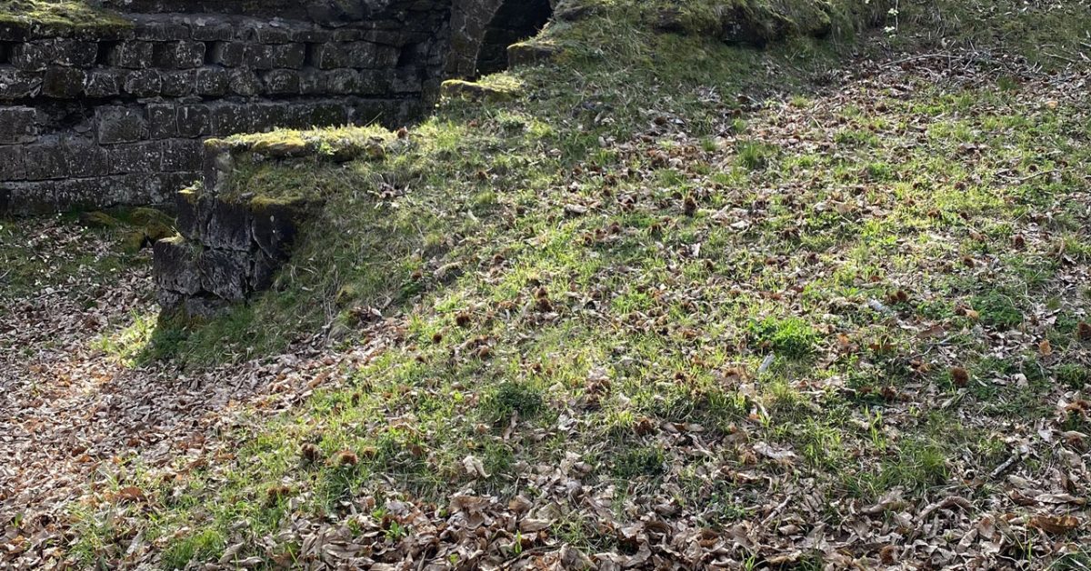 Roccamonfina-Neviere-2